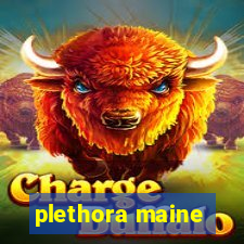 plethora maine